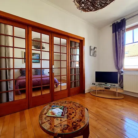 Apartment Bel Au Centre Avec Terrasse Et Parking - Fr-1-589-674